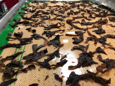Blue oyster mushrooms are tumbled under vacuum to make jerky; NCFIL reduced the process time from 60 hours to 6 hours, using emerging technology.