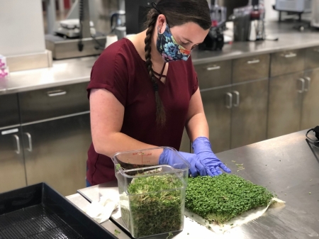 NCFIL Team Member Candace Nunn prepares microgreens for a new NCFIL project.